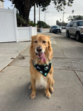 Bandana